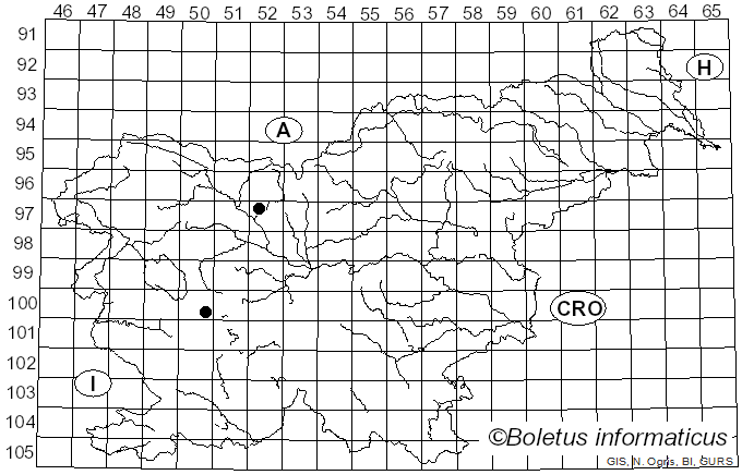 <i>Melanostoma incompletum</i> Becker (1908)
