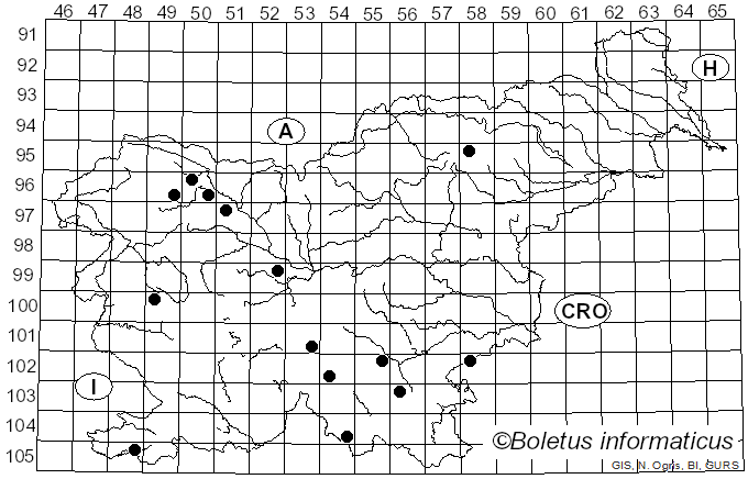 <i>Neobulgaria pura</i> (Pers.) Petr. (1921)