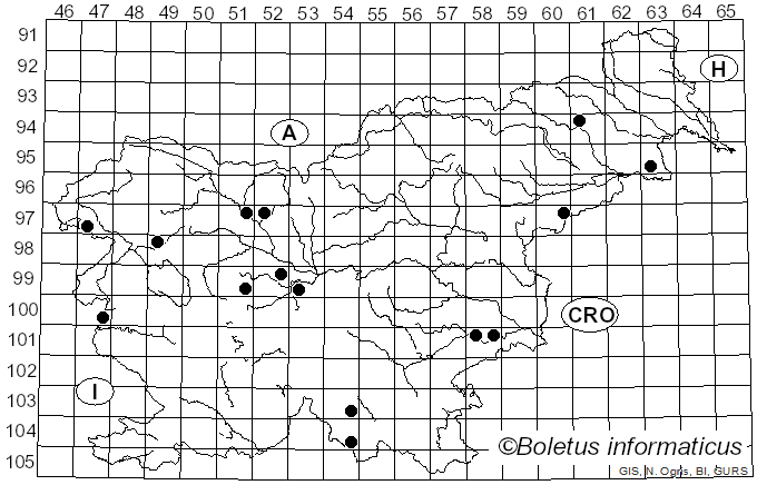 <i>Xylodon flaviporus</i> (Berk. & M.A. Curtis ex Cooke) Riebesehl & Langer (2017)