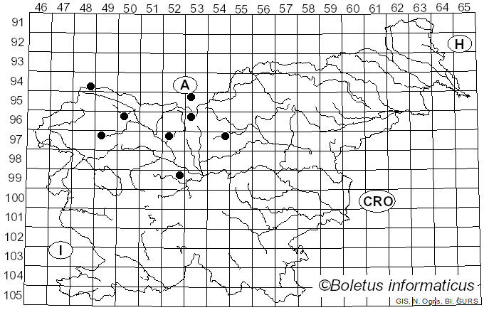 <i>Heringia</i> Rondani (1856)