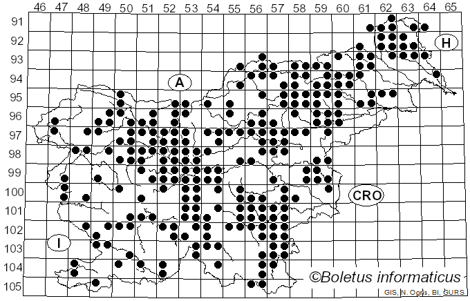 <i>Tricholomopsis rutilans</i> (Schaeff.) Singer (1939)