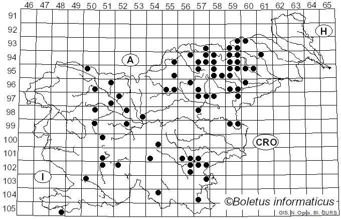 <i>Neoboletus luridiformis</i> (Rostk.) Gelardi, Simonini & Vizzini (2014)