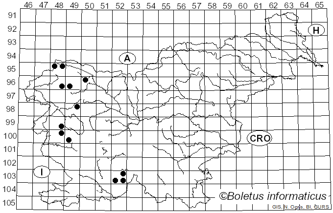 <i>Tephromela</i> M. Choisy (1929)