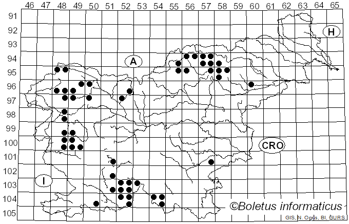 <i>Lecanora chlarotera</i> Nyl. (1872)
