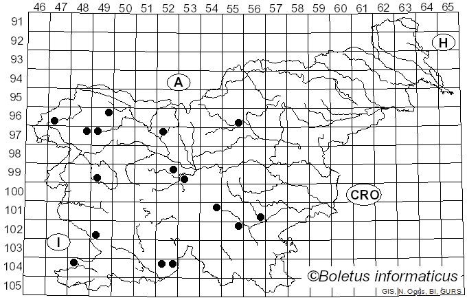 <i>Cortinarius mussivus</i> (Fr.) Melot (1987)
