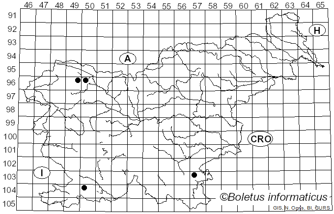 <i>Agrocybe ochracea</i> Nauta (2004)