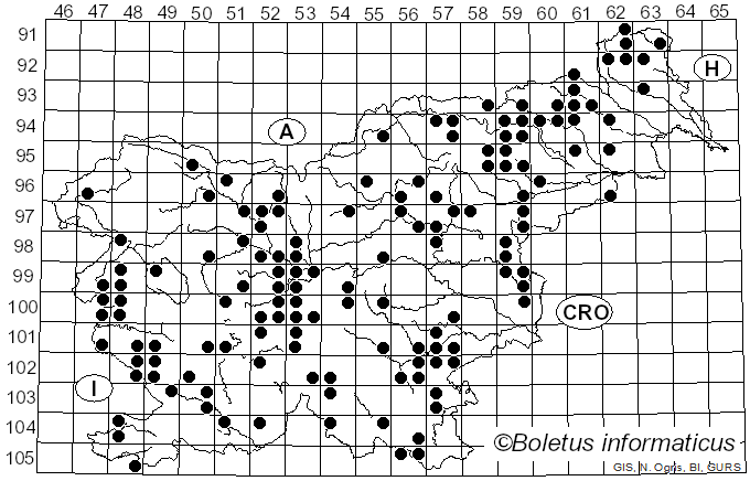 <i>Macrolepiota excoriata</i> (Schaeff.) M.M. Moser (1978)
