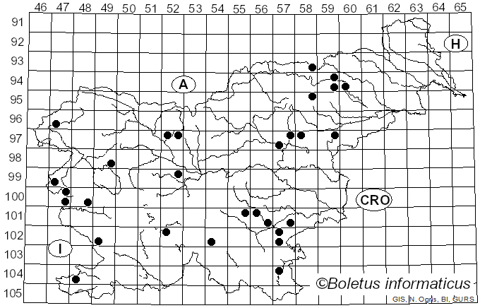 <i>Cortinarius duracinus</i> Fr. (1838)