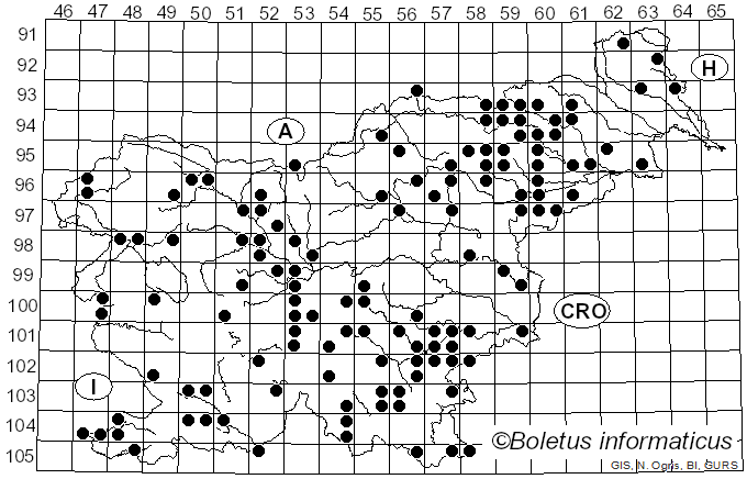 <i>Inonotus</i> P. Karst. (1879)