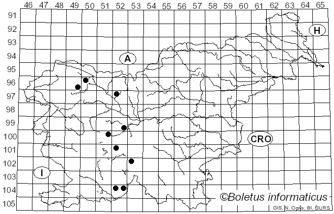 <i>Syrphus vitripennis</i> Meigen