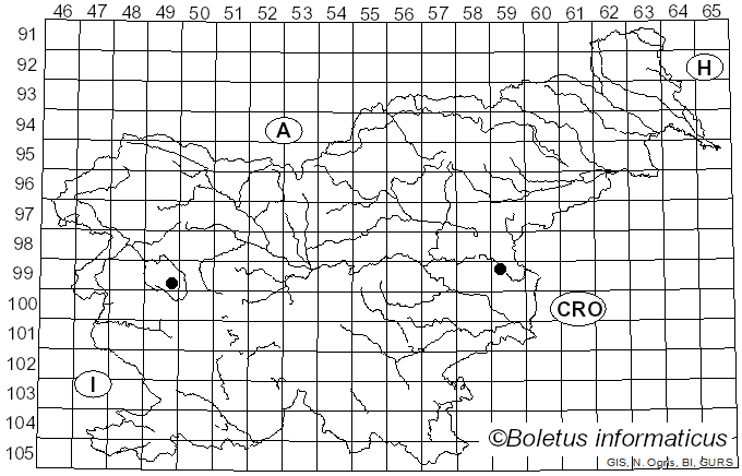 <i>Galerina subclavata</i> Kühner (1973)