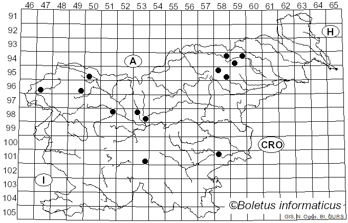 <i>Inosperma calamistratum</i> (Fr.) Matheny & Esteve-Rav. (2019)