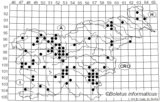 <i>Hygrophorus discoideus</i> (Pers.) Fr. (1838)