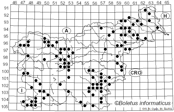 <i>Auricularia mesenterica</i> (Dicks.) Pers. (1822)