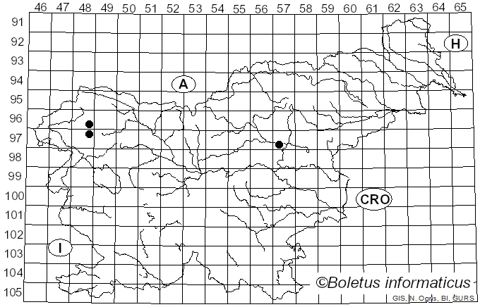 <i>Ramaria suecica</i> (Fr.) Donk (1933)