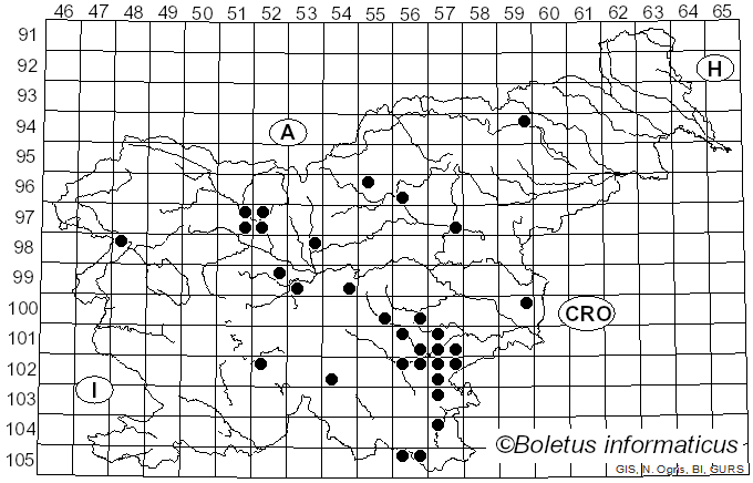 <i>Lactarius quieticolor</i> Romagn. (1958)