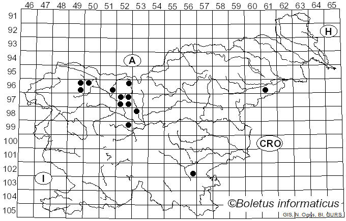 <i>Tolypocladium ophioglossoides</i> (J.F. Gmel.) C.A. Quandt, Kepler & Spatafora (2014)