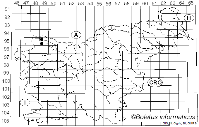 <i>Gibbera vaccinii</i> (Sowerby) Fr. (1849)