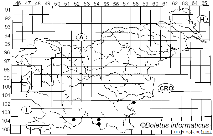 <i>Sphaerotheca balsaminae</i> (Wallr.) Kari (1957)