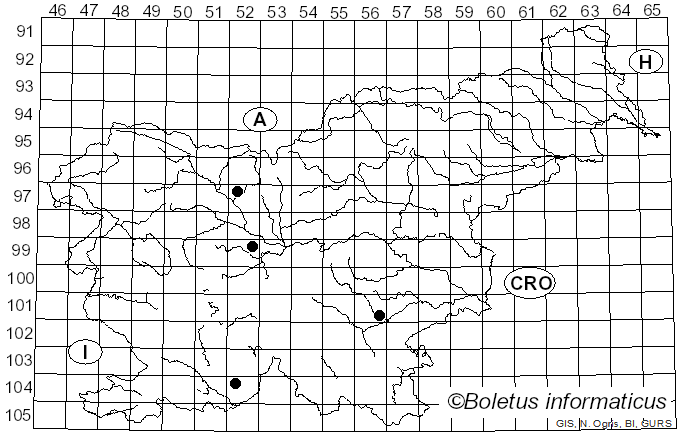 <i>Cortinarius aereus</i> Rob. Henry (1952)