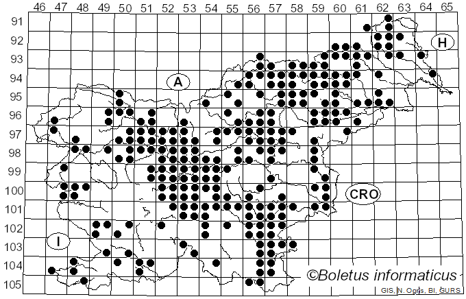 <i>Scleroderma citrinum</i> Pers. (1801)