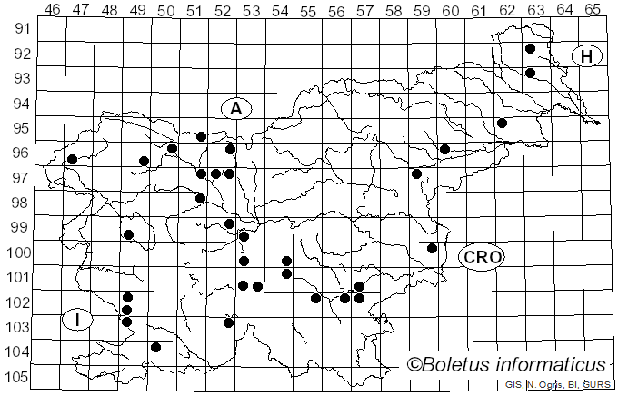<i>Phyllotopsis</i> E.-J. Gilbert & Donk ex Singer (1936)