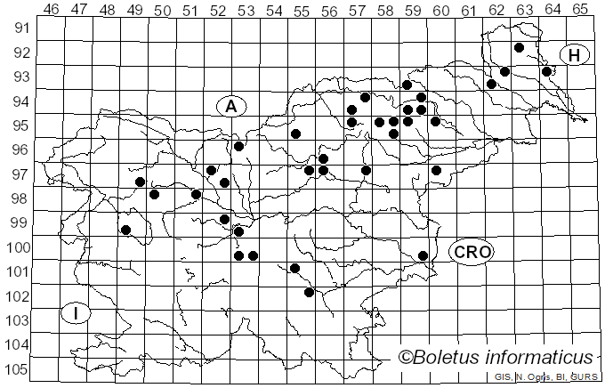 <i>Fuligo cinerea</i> (Schwein.) Morgan (1896)