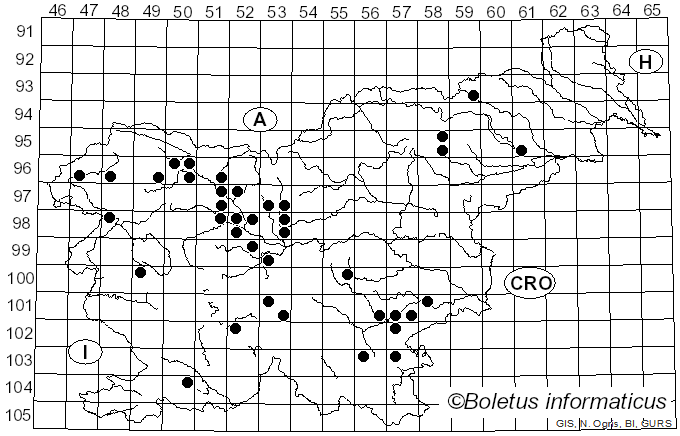 <i>Sarcomyxa serotina</i> (Pers.) V. Papp (2019)