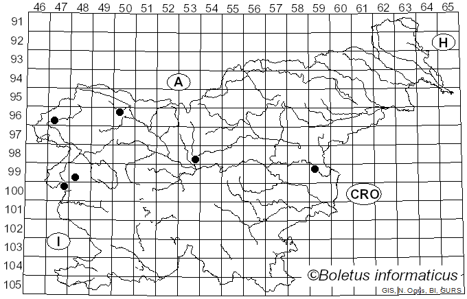 <i>Tricholoma stiparophyllum</i> (N. Lund) P. Karst. (1879)