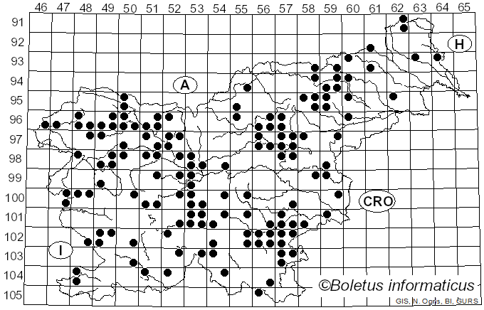 <i>Russula queletii</i> Fr. (1872)
