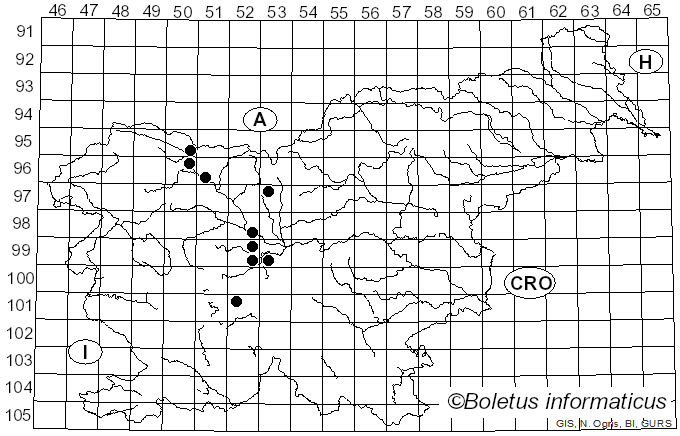 <i>Leptothyrium</i> Kunze (1823)