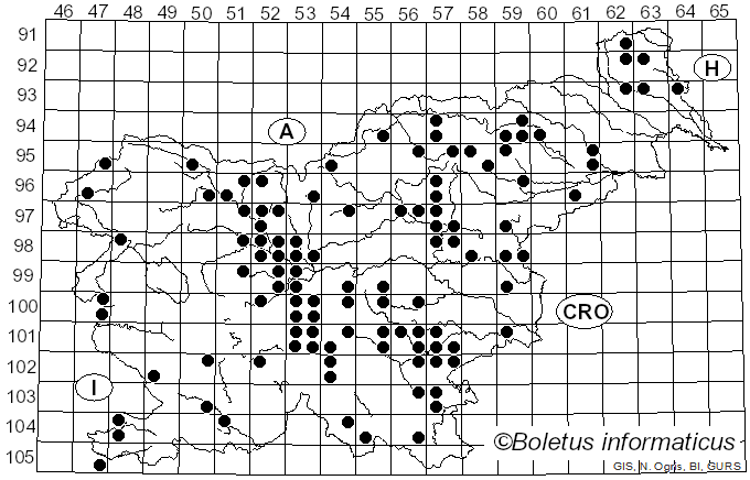 <i>Russula densifolia</i> Secr. ex Gillet (1874)