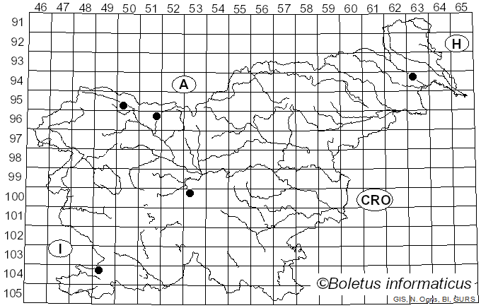 <i>Hyalorbilia</i> Baral & G. Marson (2001)
