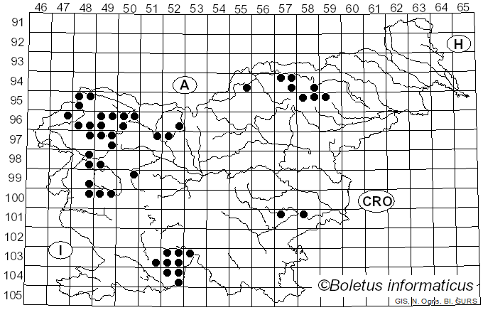 <i>Ramalina farinacea</i> (L.) Ach. (1810)