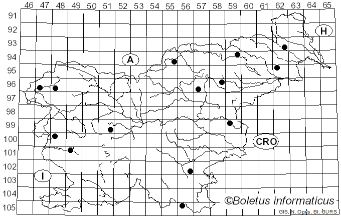 <i>Lepiota oreadiformis</i> Velen. (1920)