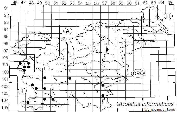 <i>Agaricus benesii</i> (Pilát) Pilát (1951)