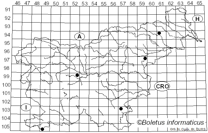 <i>Cortinarius paracephalixus</i> Bohus (1978)