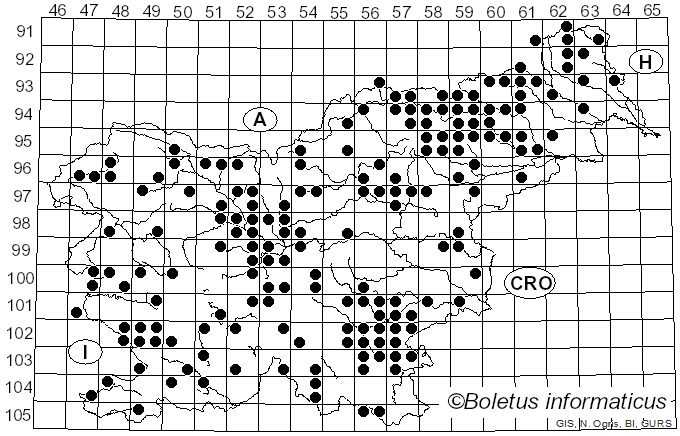 <i>Gymnopilus</i> P. Karst. (1879)