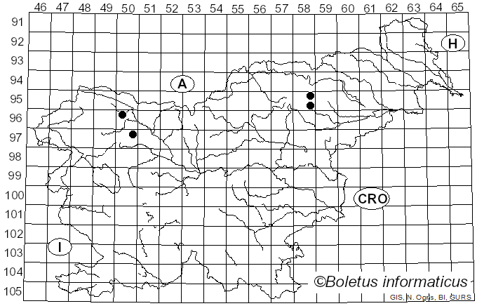 <i>Mollisia ventosa</i> P. Karst. (1871)