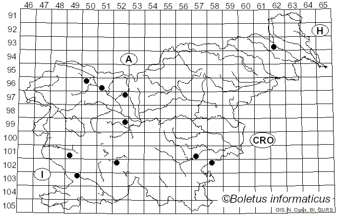 <i>Dendrothele acerina</i> (Pers.) P.A. Lemke (1965)