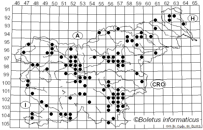 <i>Cantharellus cinereus</i> (Pers.) Fr. (1821)