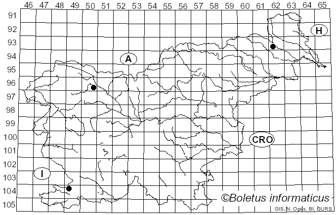 <i>Hyphodontia arguta</i> (Fr.) J. Erikss. (1958)