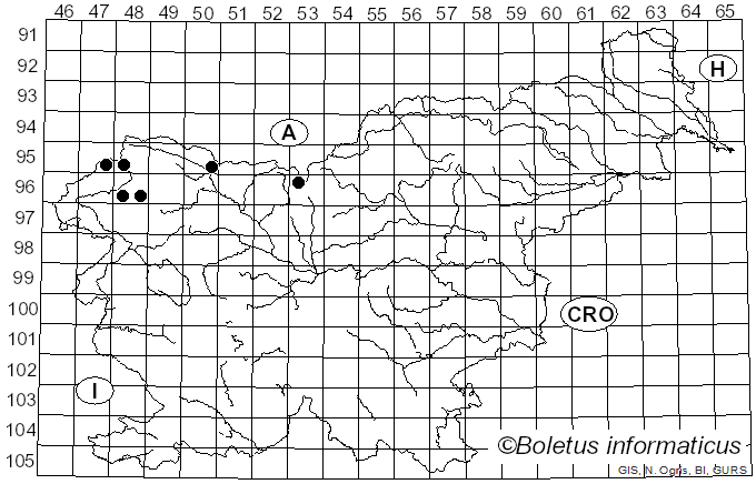 <i>Anthracoidea sempervirentis</i> Vánky (1979)