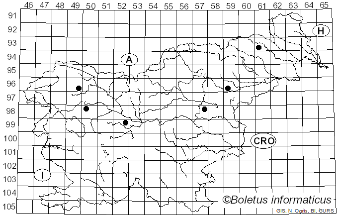 <i>Botryobasidium vagum</i> (Berk. & M.A. Curtis) D.P. Rogers (1935)