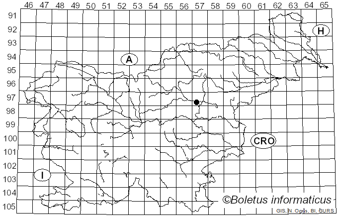 <i>Sarcodon fuligineoviolaceus</i> (Kalchbr.) Pat. (1900)