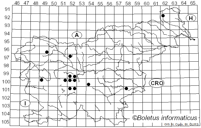 <i>Helophilus</i> Meigen (1822)