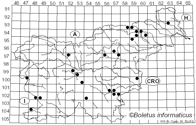 <i>Macrolepiota prominens</i> (Fr.) M.M. Moser (1967)