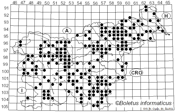 <i>Ganoderma applanatum</i> (Pers.) Pat. (1887)