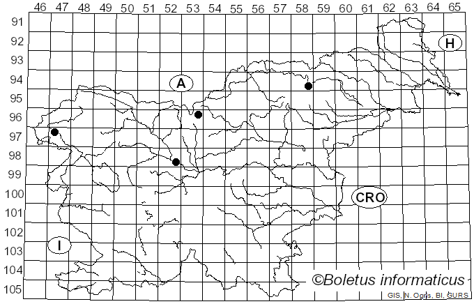 <i>Aspicilia</i> A. Massal. (1852)