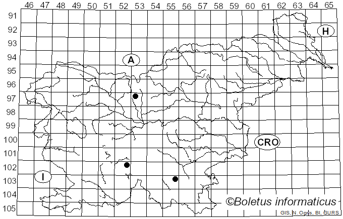 <i>Puccinia epilobii</i> DC. (1815)